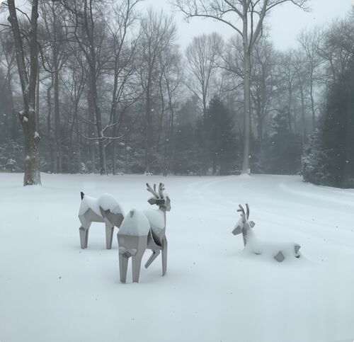 Últimos blogs da empresa sobre O Rebanho Cristalino: Onde a Natureza Encontra a Geometria