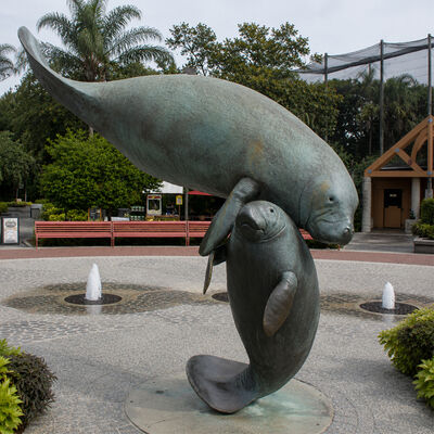 Bom preço. Grande bronze Manatee mãe e bebê escultura animal marinho jardim costeiro estátua de arte ao ar livre on-line
